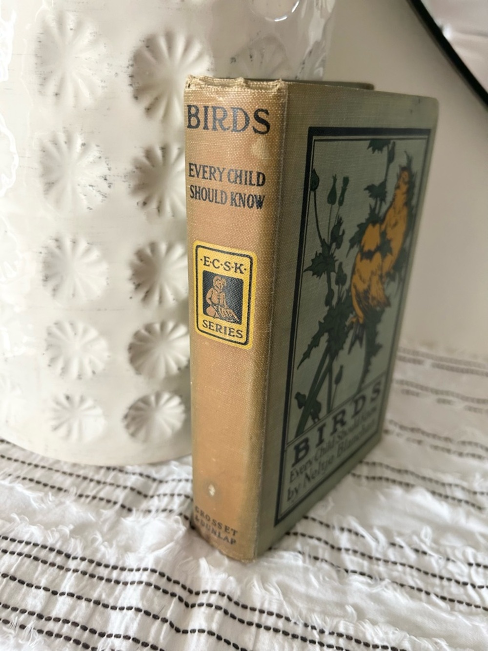 Antique 1907 “Birds Every Child Should Know” Neltje Blanchan Hardcover Book - Picture 2 of 10